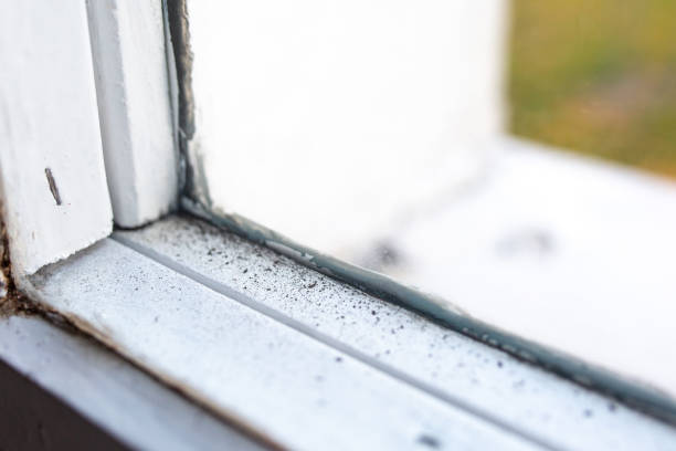 Best Indoor Air Quality Assessment  in Clintondale, NY